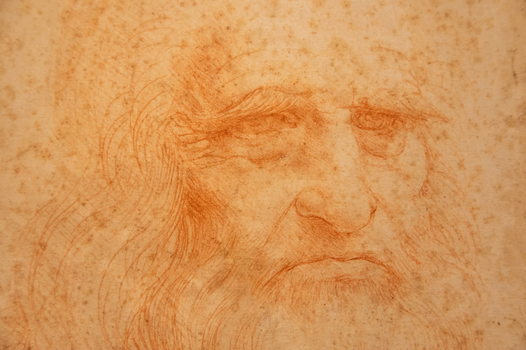 Leonardo Da Vinci Portrait on Handmade Cotton Paper, Royal Libra